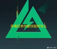 灵魂石幸存者技能树怎么加点